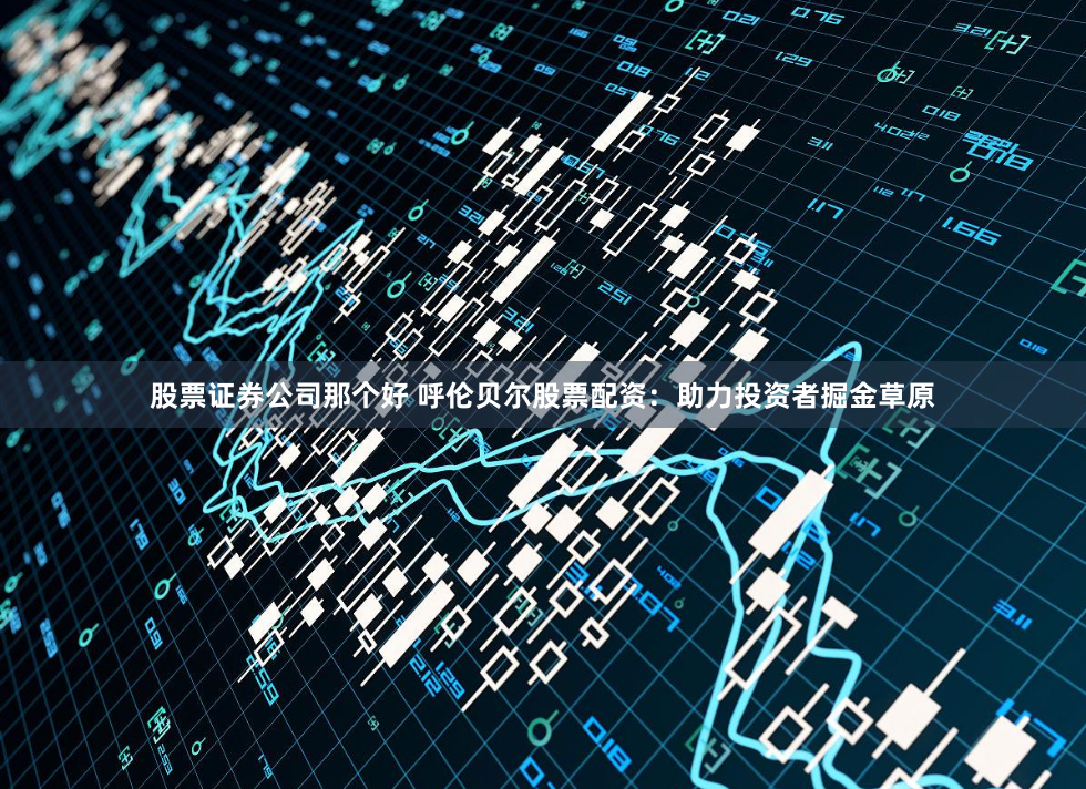 股票证券公司那个好 呼伦贝尔股票配资:助力投资者掘金草原