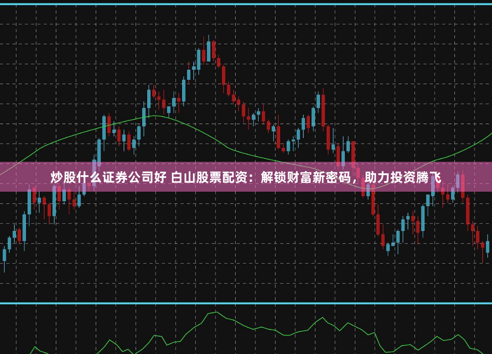 炒股什么证券公司好 白山股票配资:解锁财富新密码,助力投资腾飞