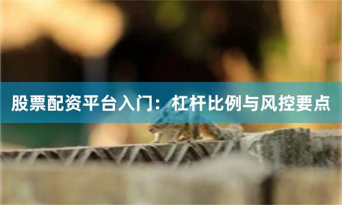 股票配资平台入门：杠杆比例与风控要点