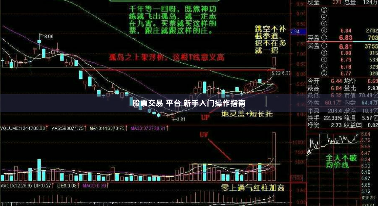 股票交易 平台 新手入门操作指南